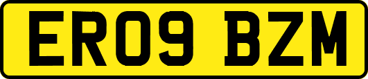 ER09BZM