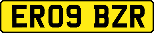 ER09BZR