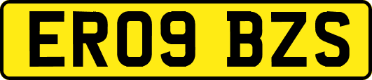 ER09BZS