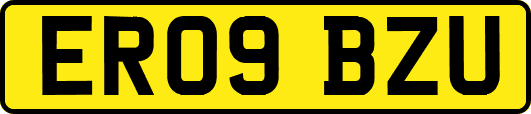 ER09BZU