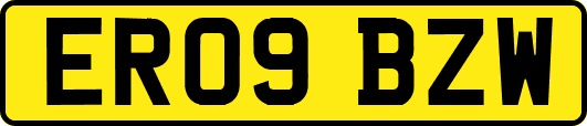 ER09BZW