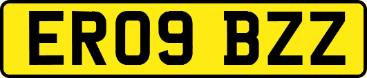 ER09BZZ