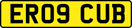 ER09CUB