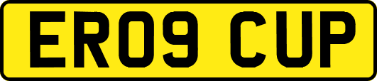 ER09CUP