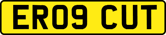 ER09CUT