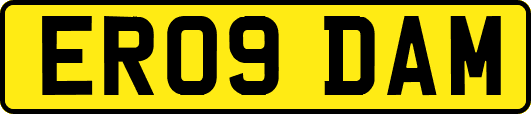 ER09DAM