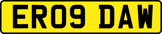 ER09DAW