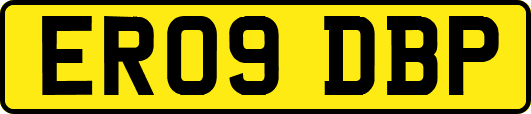 ER09DBP