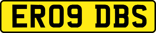 ER09DBS