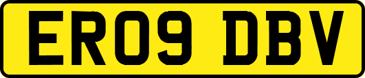 ER09DBV