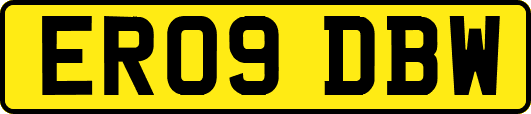 ER09DBW