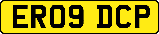 ER09DCP