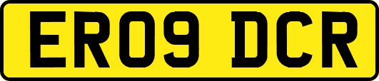 ER09DCR
