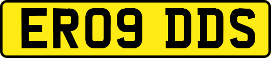 ER09DDS