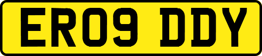 ER09DDY