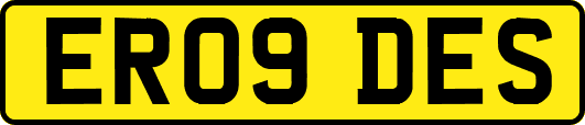 ER09DES