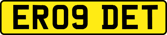 ER09DET