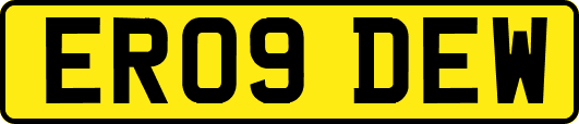 ER09DEW
