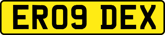 ER09DEX