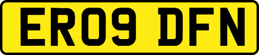ER09DFN
