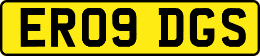 ER09DGS