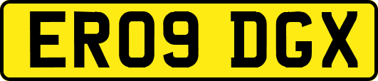 ER09DGX