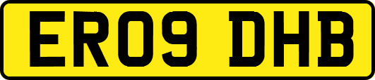 ER09DHB