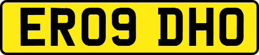 ER09DHO