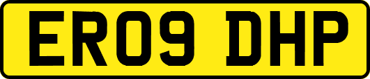 ER09DHP