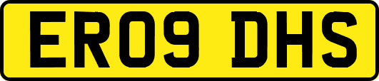 ER09DHS
