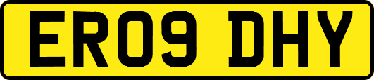 ER09DHY
