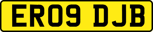 ER09DJB