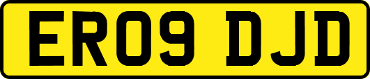 ER09DJD