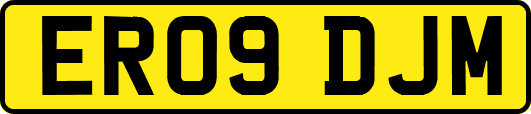 ER09DJM
