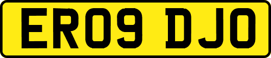 ER09DJO