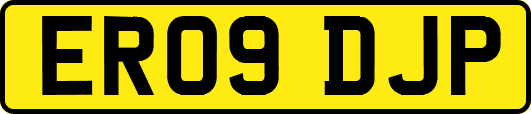 ER09DJP