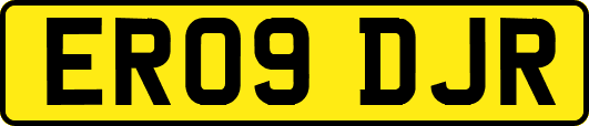 ER09DJR