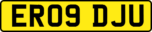 ER09DJU