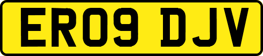ER09DJV