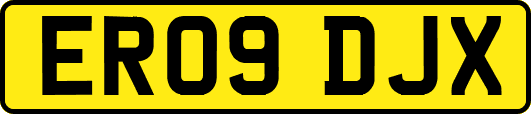 ER09DJX