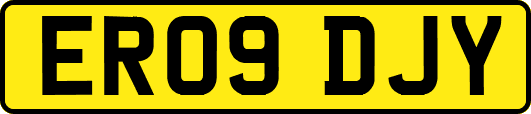 ER09DJY