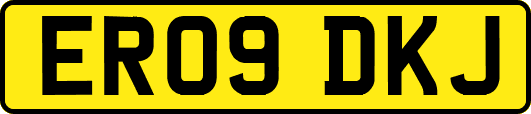 ER09DKJ