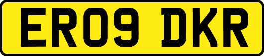 ER09DKR