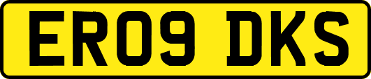 ER09DKS