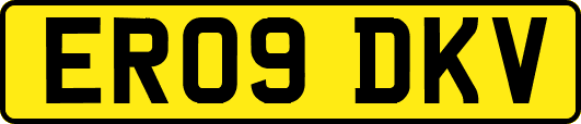 ER09DKV