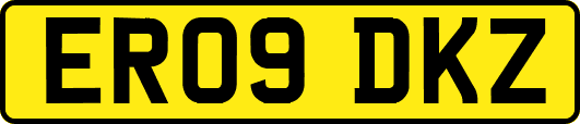 ER09DKZ