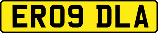 ER09DLA