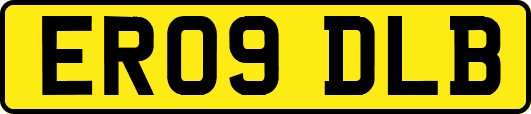 ER09DLB