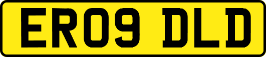 ER09DLD