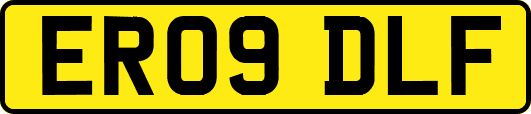 ER09DLF